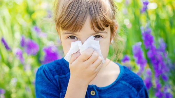 Allergy Relief with Air Purifiers