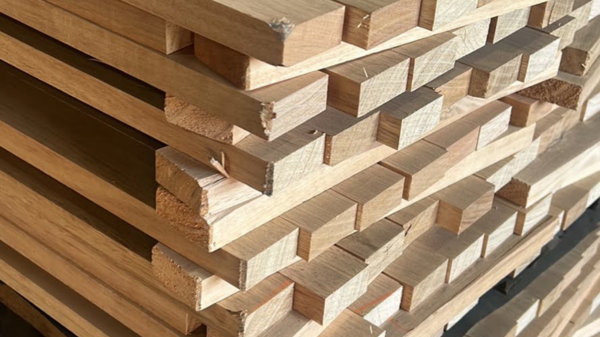 Types Of Wood For Design & Technology Projects